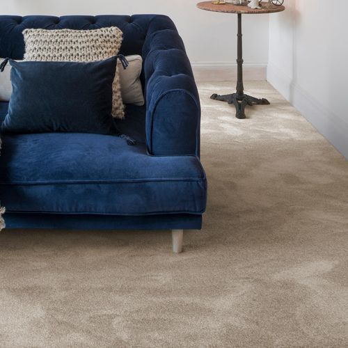 Teppichboden ANDIAMO "Levin, Velours, Gesamthöhe 10 mm, Luxusklasse LC2", braun (schlamm), B:500cm L:450cm, Kunstfaser, Teppiche, Uni Farben, Breite 400 cm oder 500 cm, weiche Qualität