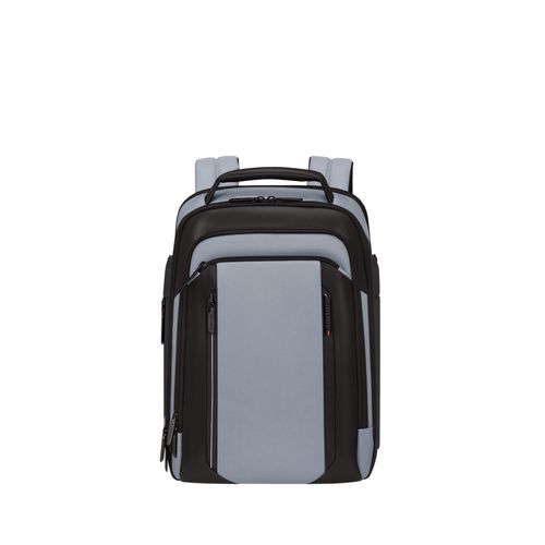 Laptoprucksack SAMSONITE "SPECTROLITE 4.0", Gr. B/H/T: 29cm x 41cm x 14cm, cloudy grau, Rucksäcke Laptoprucksack, Geschäftsrucksack, Businessrucksack mit vielen Fächern