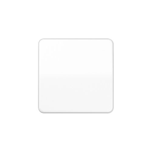 Jung Steuertaste Standard CD 1700 WW (CD1700WW)