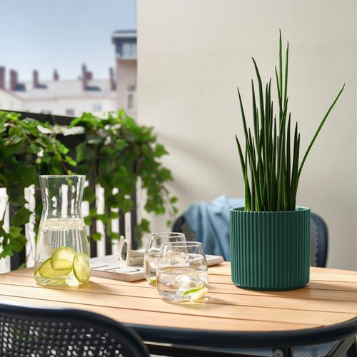 DAKSJUS Blumentopf