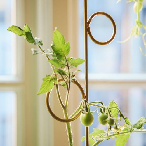 DOFTRIPS Pflanzenwachstumsstütze 2er-Set