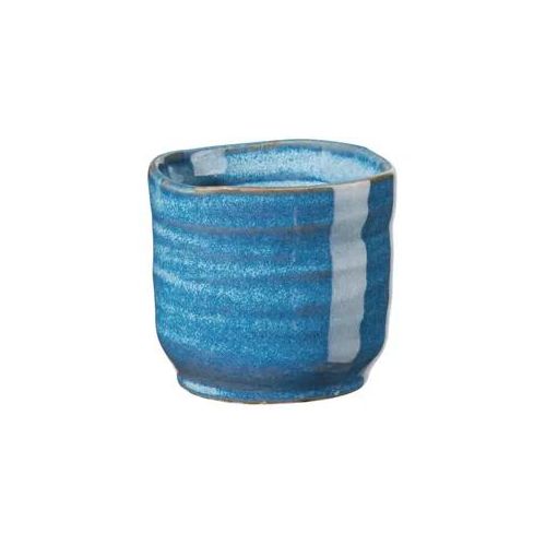 Asa Selection Poké Cup