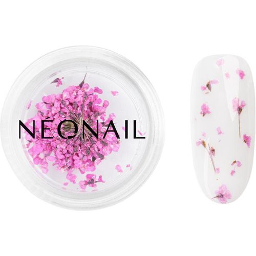 NEONAIL Dried Flowers gedroogde bloemen voor Nagels Tint Purple 1 st