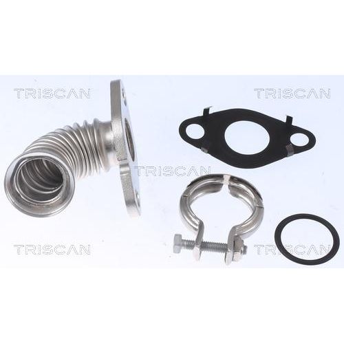 TRISCAN Rohrleitung, AGR-Ventil 881116000