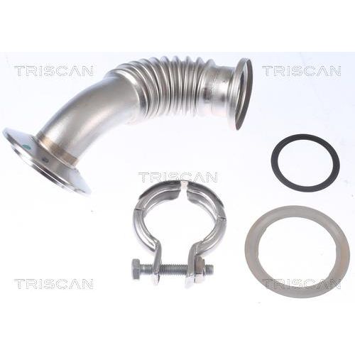 TRISCAN Rohrleitung, AGR-Ventil 881116001
