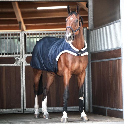 BUSSE Führanlagendecke Trainer 50 Navy 125
