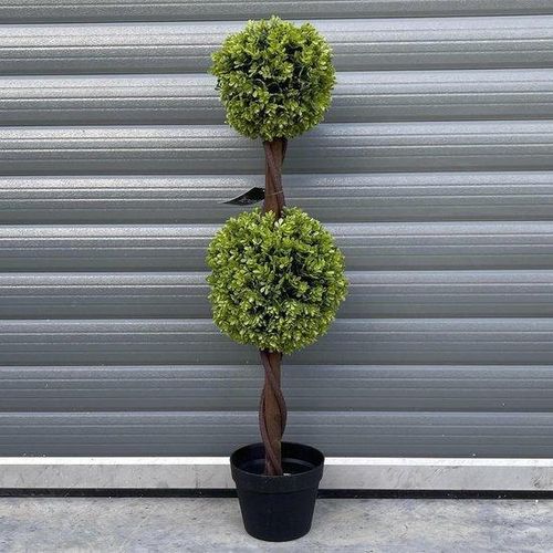 Buxus-Doppelbal für Eingangsbereich - Echt Holz - 90 cm - Grün