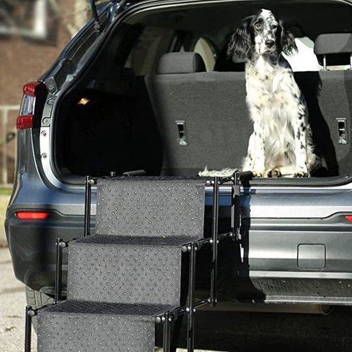 Katenaufstieg für Katzen und Hunde / 4-Stufenhaustierleiter