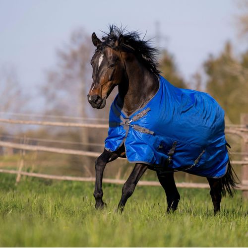 Outdoordecke WINDCHILL 100, Paddock- und Regendecke in zwei Farben, Rckenlnge in cm:145_plus, Ausfhrung:grau (navy)