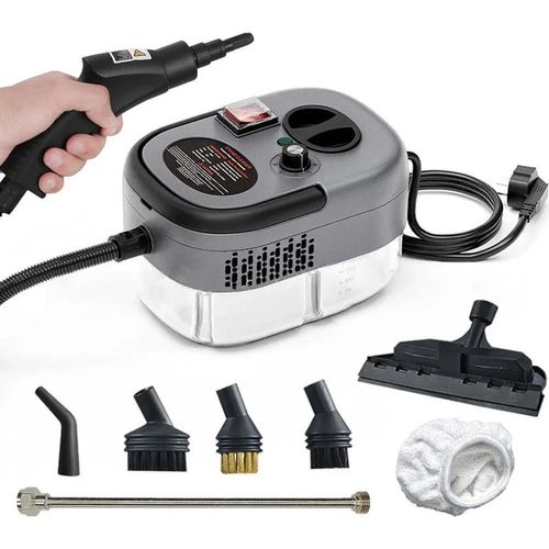 Dampfreiniger, Hochleistungsfähigkeit, Effektive Desinfektion, Verbesserter Gery, 220 V-a