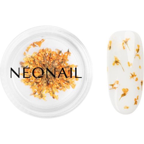 NEONAIL Dried Flowers gedroogde bloemen voor Nagels Tint Orange 1 st