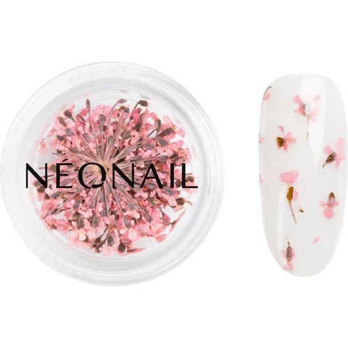 NEONAIL Dried Flowers gedroogde bloemen voor Nagels Tint Pink 1 st
