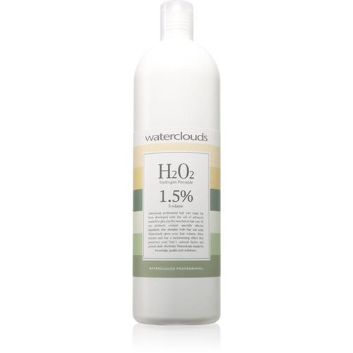 Waterclouds H202 1,5% vol 5 ontkleuringsmiddel 1000 ml