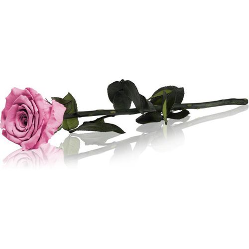 RoseAmor Pink gestabiliseerde roos met steel 30 cm 1 st