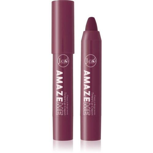 J.Cat Beauty Amaze Me crèmig lippotlood Tint 105 Thank You 637 4 g