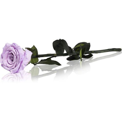 RoseAmor Lila gestabiliseerde roos met steel 30 cm 1 st