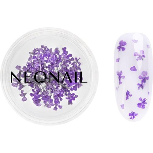 NEONAIL Dried Flowers gedroogde bloemen voor Nagels Tint 06 Violet 1 st