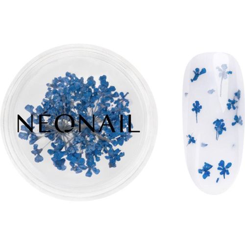 NEONAIL Dried Flowers gedroogde bloemen voor Nagels Tint 04 Navy 1 st