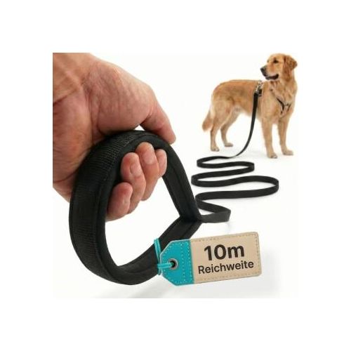 HUND IST KÖNIG 10m Schleppleine Hund - Schleppleine 10m für Hunde mit gepolsterter Handschlaufe