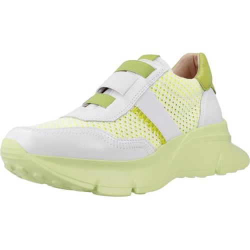 HISPANITAS CERVO-V24 Gelb