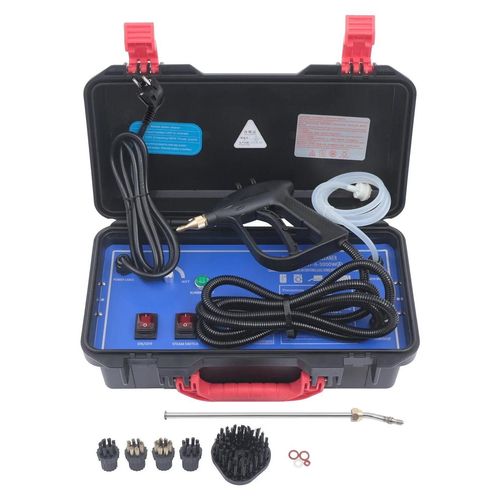 Hand-Dampfreiniger - CNT-QX-A - 3000 W - Dual-Modus Kaltwasser & Dampf - Dampfmenge einstellbar - EU-Stecker 220 V - Schwarz