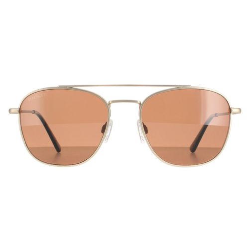 Serengeti zonnebril Carroll SS542004 Matlicht Goud gepolariseerde stuurprogramma's Brown