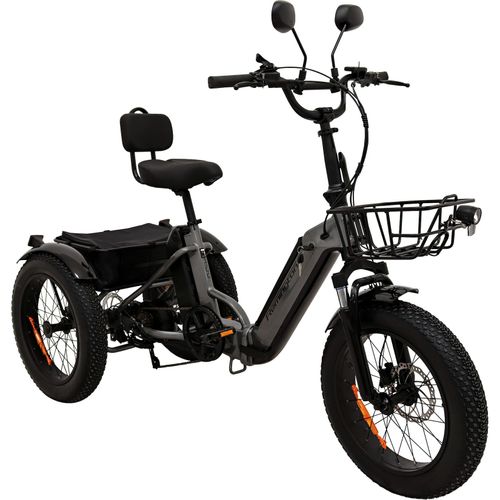Remington R100 E Bike Elektro Dreirad 20 Zoll Elektrodreirad mit 2 Akkus bis 120 km Pedelec City mit tiefem Einstieg klappbar