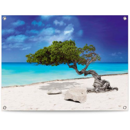 Poster REINDERS "Tropische Insel", blau (farbe bild(er): blau), B:80cm H:60cm T:0,1cm, Leinwand, Bilder, Poster