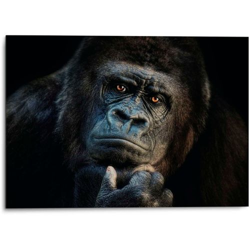 Alu-Dibond-Druck PLATINUM "Gorilla", schwarz (farbe bild(er): schwarz), B:70cm H:50cm T:2cm, Aluminium, Bilder, Joachim G. Pinkawa