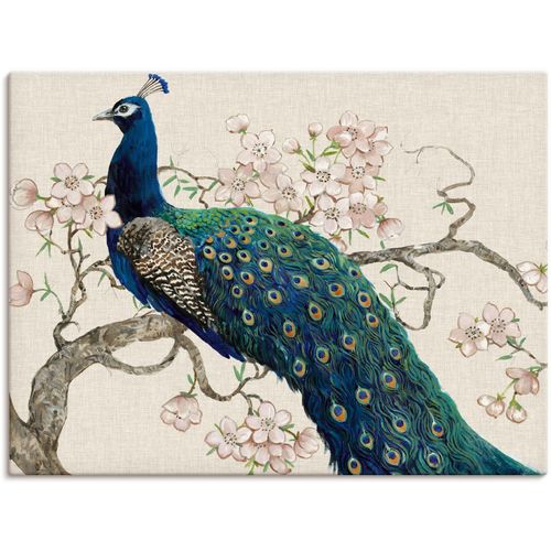 Wandbild ARTLAND "Pfau & Blüten II", beige (farbe bild(er): naturfarben), B:120cm H:90cm, Bilder, als Leinwandbild, Poster in verschied. Größen