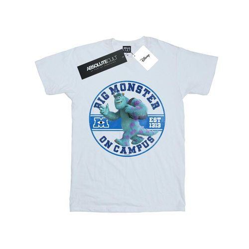 Disney Heren Monsters University Monster On Campus T-Shirt (Wit)