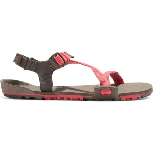 Schuhe Xero Shoes Z-trail Ev TTWSCMRW