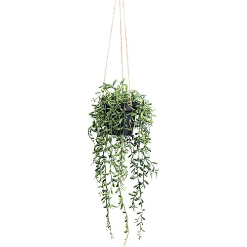 Kunstpflanze CREATIV GREEN "Hängepflanze Senecio Herreianus", grün, H:55cm, Kunstpflanzen, Kunstpflanze, mit schönen Hängezweigen