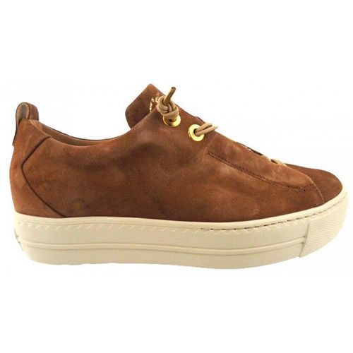 Paul Green Samtziege Nut Slipper Braun in Gr. 43