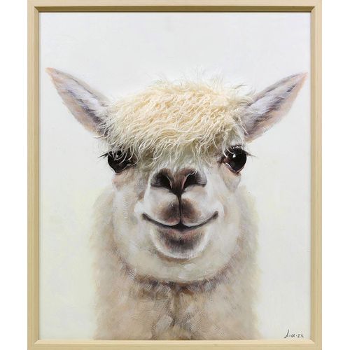 Leinwandbild LAMA YOUNGSTER