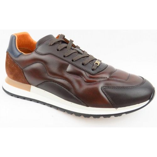 Ambitious Sneaker Braun in Gr. 46