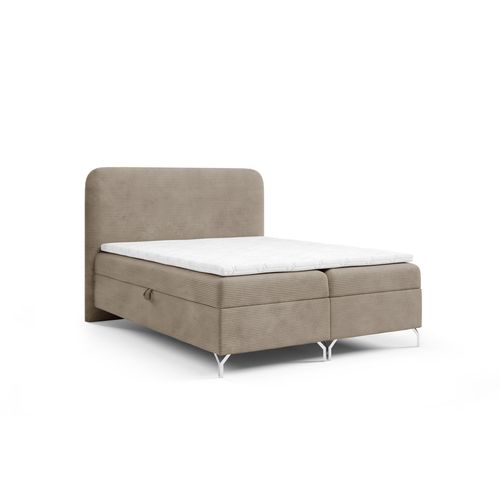BOXBETT Emilio