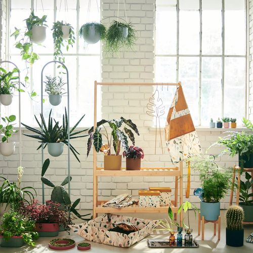DAKSJUS Vase 3er-Set