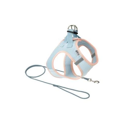 AniOne Pepe&Kitty Welpenset blau XXXS
