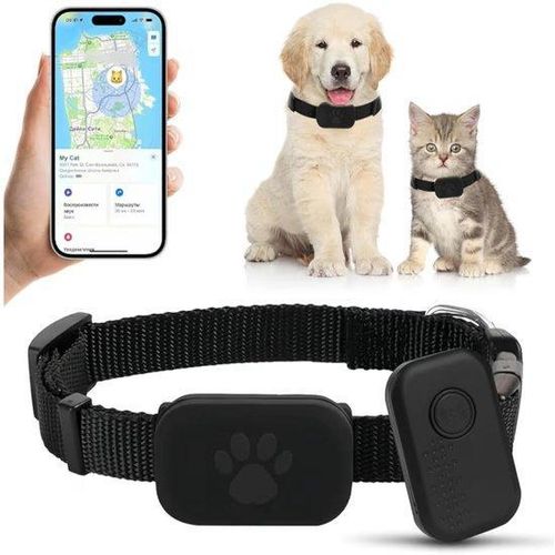 GPS-Tracker für Haustiere mit Katenausstattung