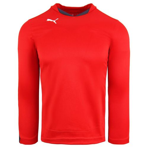 Puma v5.08 Buffon Torhüterhemd Langarm Red Mens Top 700489 24