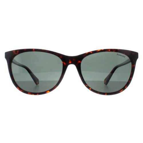 Polaroid Cat Eye Dames Havana Groen Gepolariseerd PLD 4161/S