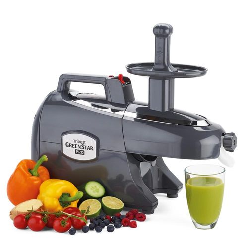 Greenstar Pro Saftpresse