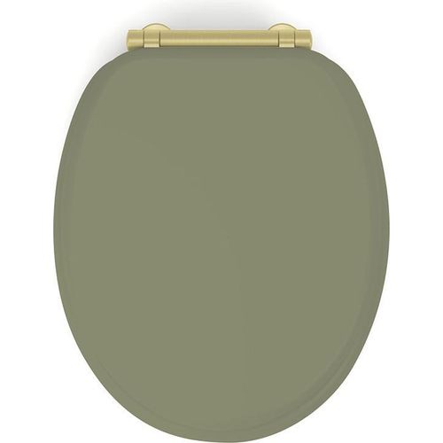 WC-Sitz Fallbremse Design