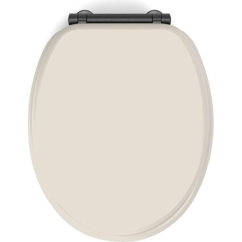 WC-Sitz Fallbremse Design
