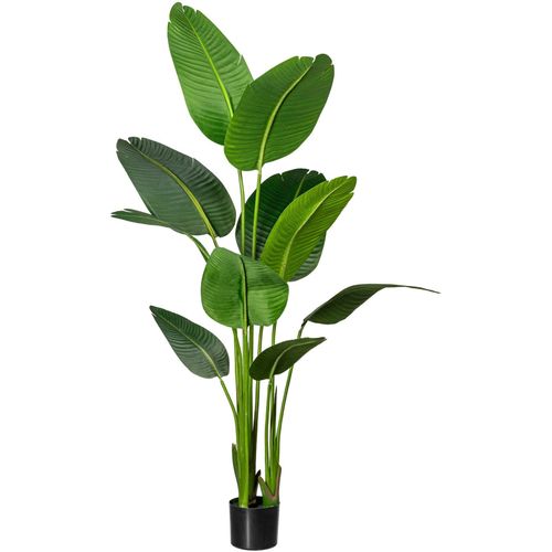 Künstliche Zimmerpflanze CREATIV GREEN "Strelitzia", grün, H:160cm, Kunststoff, Kunstpflanzen, Künstliche Zimmerpflanze