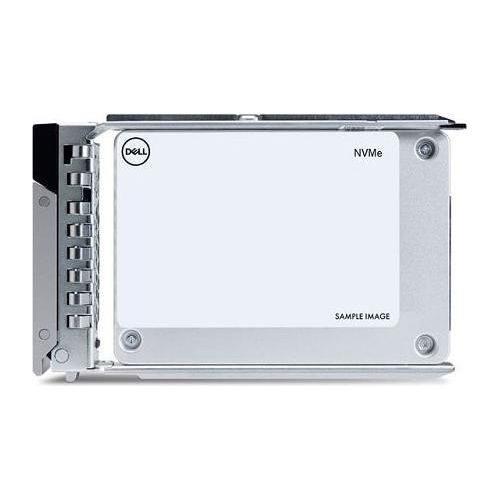 Dell Kunden-Kit - SSD - Rechenzentrum, Leseintensiv - 960 GB - mit Träger - 2.5" (6.4 cm)