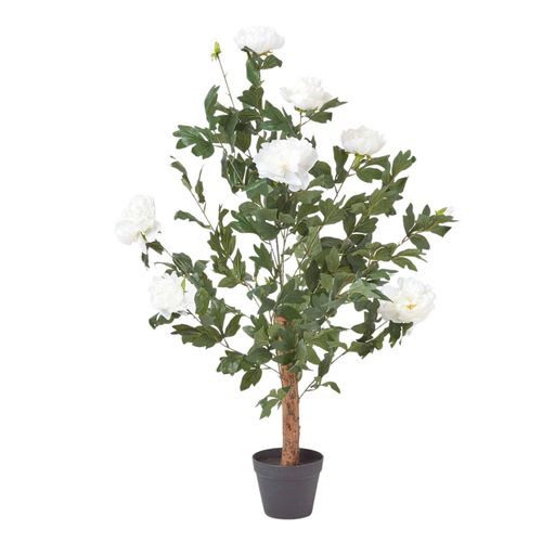 KUNSTPFLANZE Baumpfingstrose creme, 100 cm