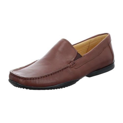 Anatomic 949414 pinhao