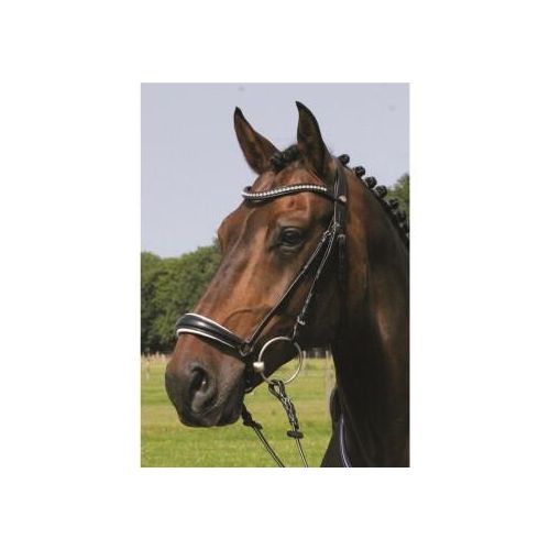 Hans Melzer Horse Equipment Hans Melzer Trense Valluhn schwarz/silber hannoversches Reithalfter weiß unterlegt Pony